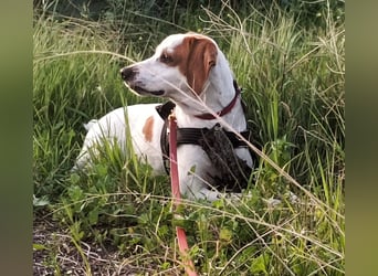 Cooper: „SOS - wohin soll ich denn sonst?“