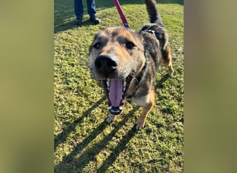 Liv sucht ihr Glück