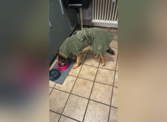 Liv sucht ihr Glück