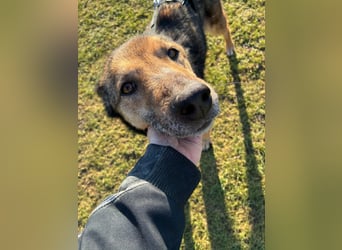 Liv sucht ihr Glück