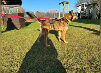 Liv sucht ihr Glück