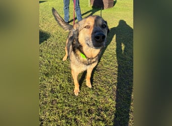 Liv sucht ihr Glück