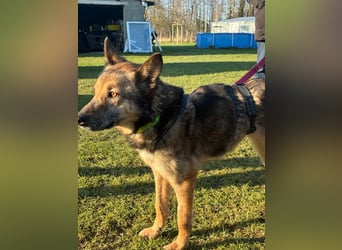 Liv sucht ihr Glück