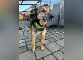 Liv sucht ihr Glück