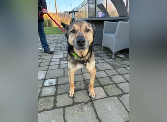 Liv sucht ihr Glück