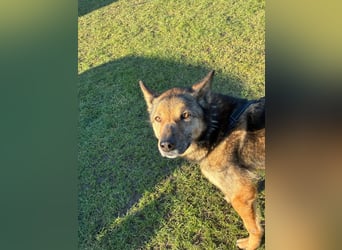 Liv sucht ihr Glück