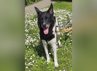 - Sarra wartet in 70619 Stuttgart -
