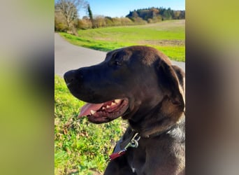 Santal - Lebensfreude pur