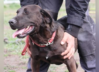 Santal - Lebensfreude pur