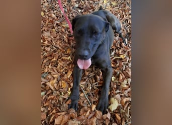 Santal - Lebensfreude pur