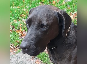 Santal - Lebensfreude pur