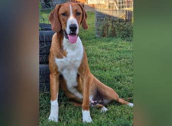 VINCENT - als Einziger zurück geblieben!