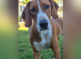 VINCENT - als Einziger zurück geblieben!