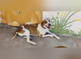 RUSO ein echter Sonnenschein