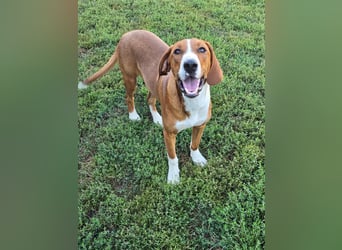 VINCENT - als Einziger zurück geblieben!