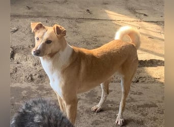 BALDUIN-wer möchte dem Bub Glück verhelfen