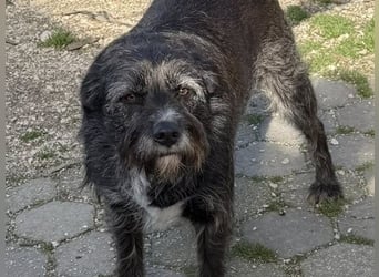 TOMILHO wünscht sich eine aktive Familie