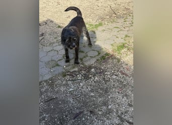 TOMILHO wünscht sich eine aktive Familie