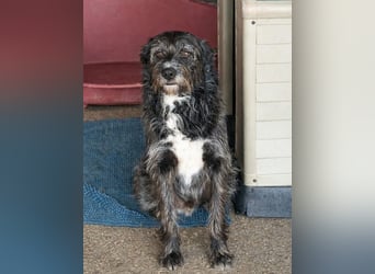 TOMILHO wünscht sich eine aktive Familie