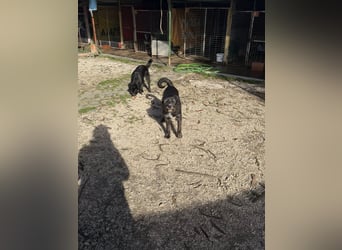 TOMILHO wünscht sich eine aktive Familie