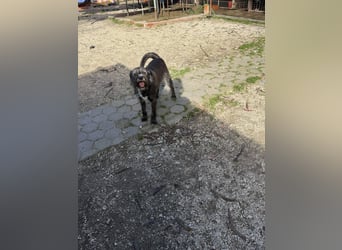 TOMILHO wünscht sich eine aktive Familie