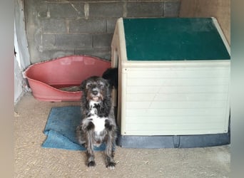 TOMILHO wünscht sich eine aktive Familie