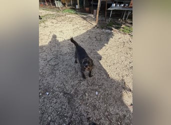 TOMILHO wünscht sich eine aktive Familie