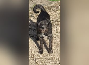 TOMILHO wünscht sich eine aktive Familie