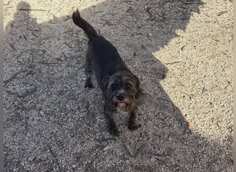 TOMILHO wünscht sich eine aktive Familie