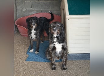 TOMILHO wünscht sich eine aktive Familie