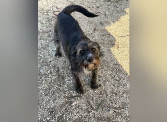 TOMILHO wünscht sich eine aktive Familie