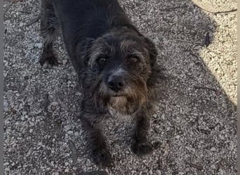 TOMILHO wünscht sich eine aktive Familie