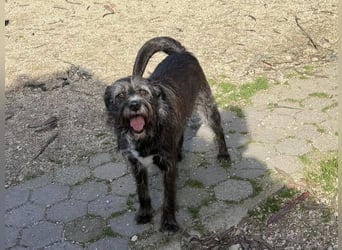 TOMILHO wünscht sich eine aktive Familie