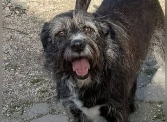 TOMILHO wünscht sich eine aktive Familie