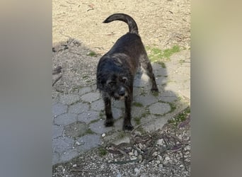 TOMILHO wünscht sich eine aktive Familie