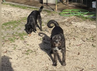 TOMILHO wünscht sich eine aktive Familie