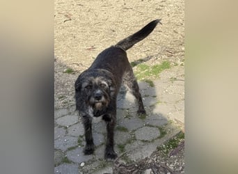 TOMILHO wünscht sich eine aktive Familie