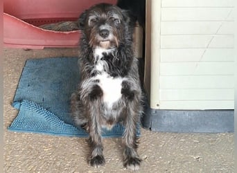 TOMILHO wünscht sich eine aktive Familie