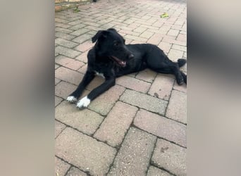 Hübsche Kira sucht ihr Glück