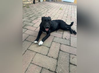 Hübsche Kira sucht ihr Glück