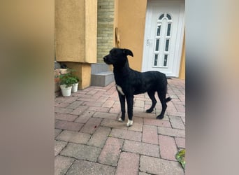 Hübsche Kira sucht ihr Glück