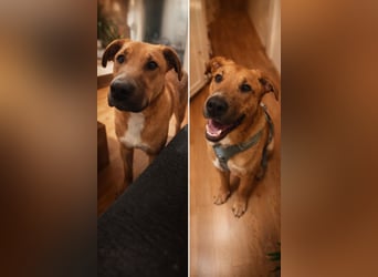 Bruno freut sich auf Deinen Besuch