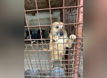 Omi sitzt noch in Tötung