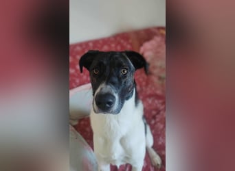 Große Begleiterin Kiwi