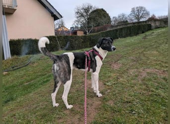 Große Begleiterin Kiwi