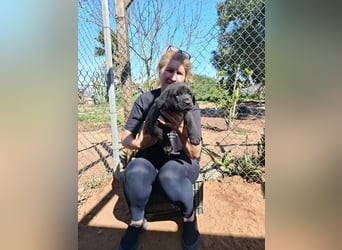 Welpenmädchen Morwenna