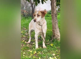 Luna, Besitzer ist verstorben