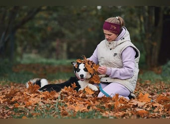 Verschmuster Chico sucht seine Familie