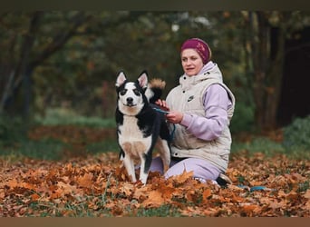 Verschmuster Chico sucht seine Familie