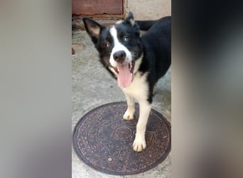 LOKI - ist bereit für Abenteuer